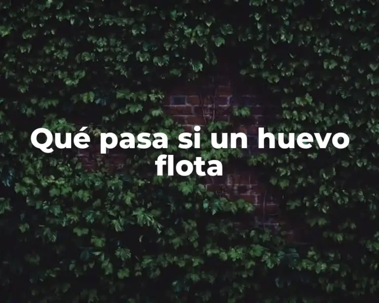 Qué pasa si un huevo flota