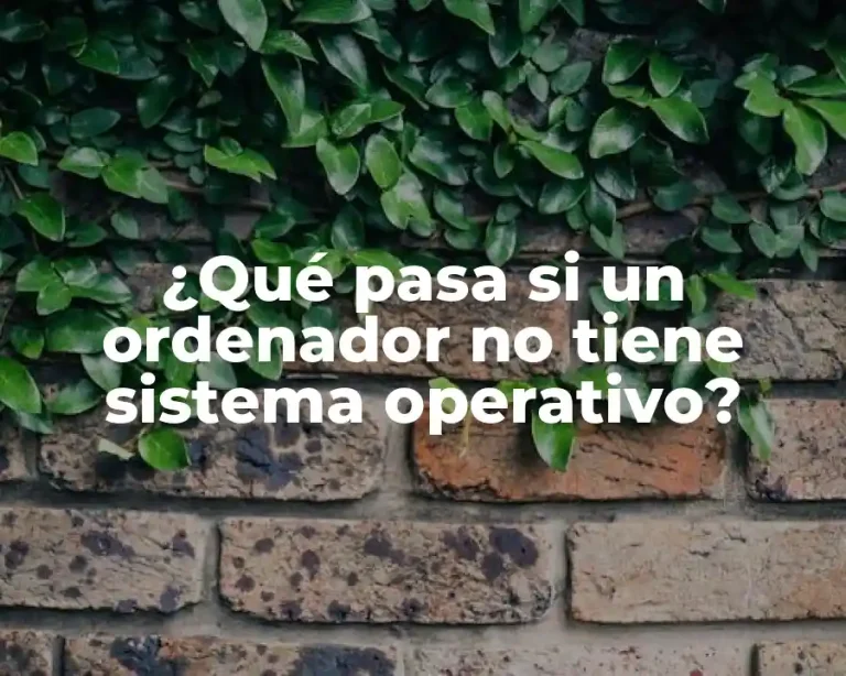 ¿Qué pasa si un ordenador no tiene sistema operativo?