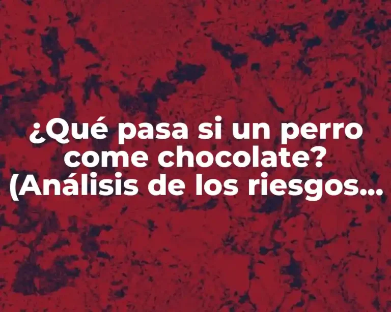 ¿Qué pasa si un perro come chocolate? (Análisis de los riesgos y consecuencias)