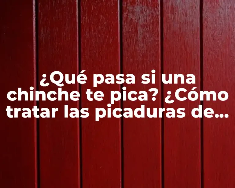 ¿Qué pasa si una chinche te pica? ¿Cómo tratar las picaduras de chinches?