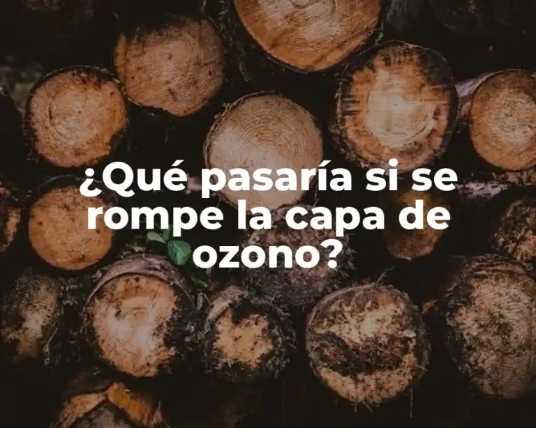¿Qué pasaría si se rompe la capa de ozono?