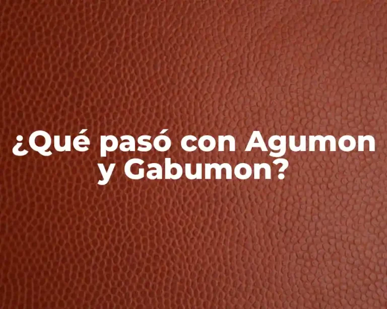 ¿Qué pasó con Agumon y Gabumon?