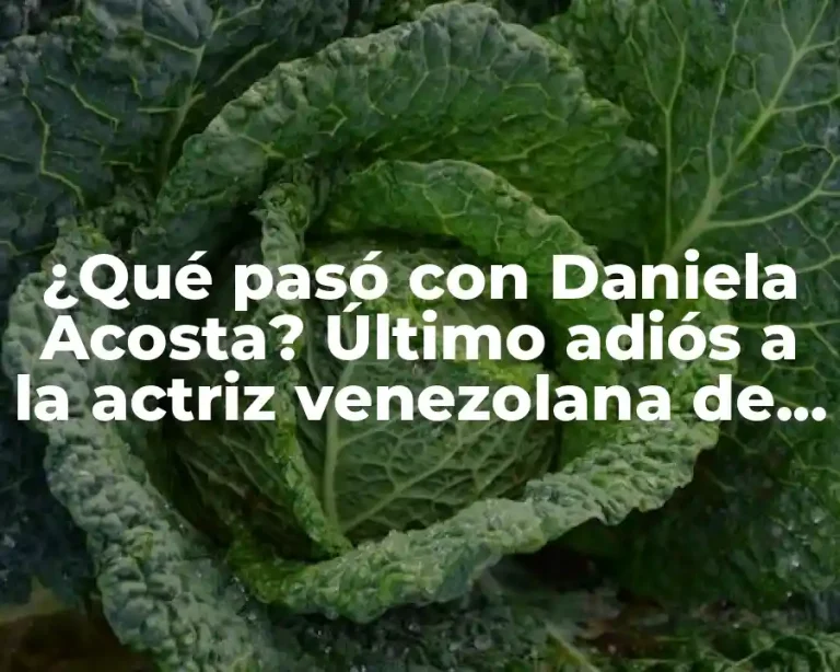 ¿Qué pasó con Daniela Acosta? Último adiós a la actriz venezolana de 30 años