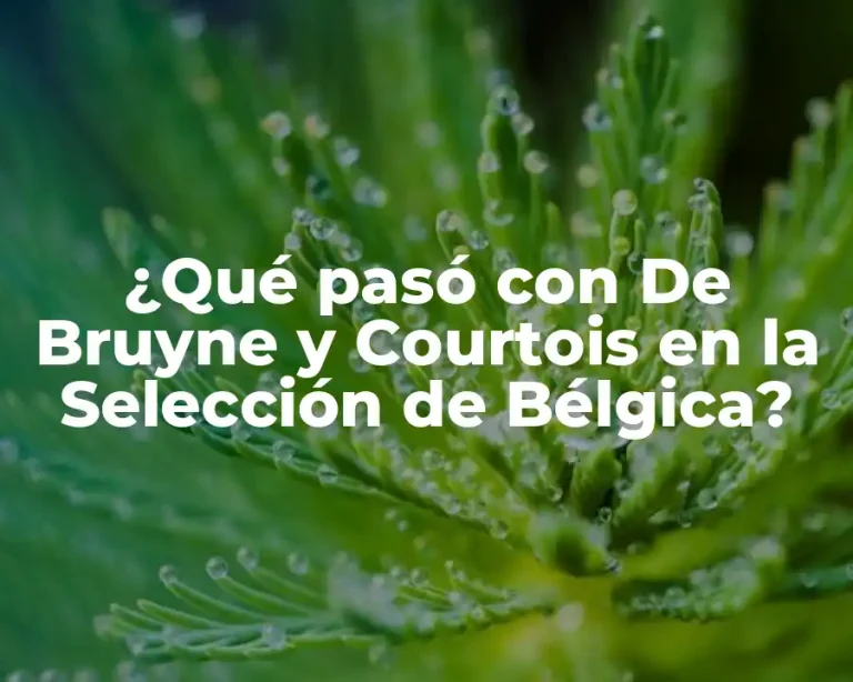 ¿Qué pasó con De Bruyne y Courtois en la Selección de Bélgica?