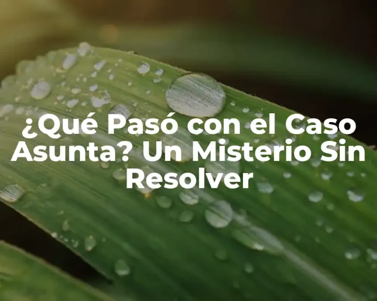¿Qué Pasó con el Caso Asunta? Un Misterio Sin Resolver
