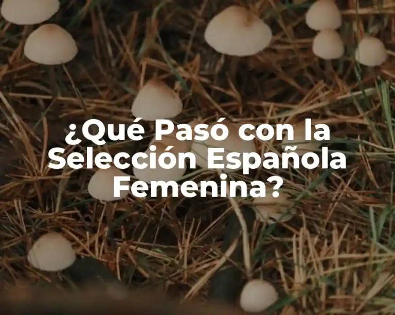 ¿Qué Pasó con la Selección Española Femenina?
