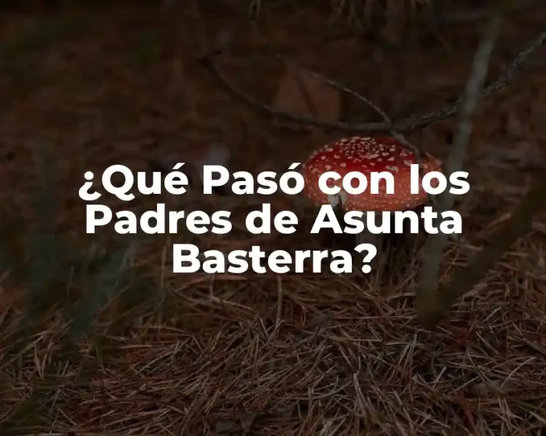 ¿Qué Pasó con los Padres de Asunta Basterra?