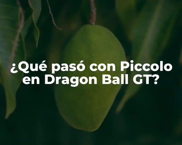 ¿Qué pasó con Piccolo en Dragon Ball GT?