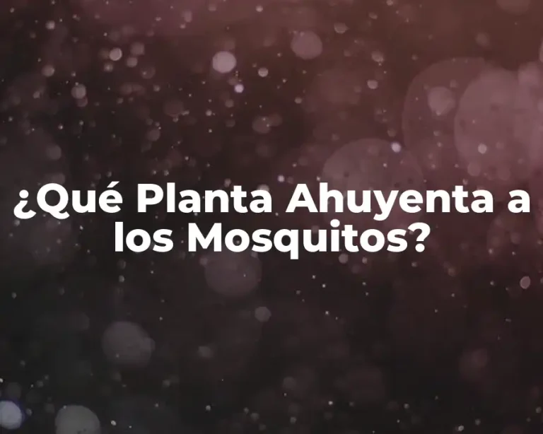 ¿Qué Planta Ahuyenta a los Mosquitos?