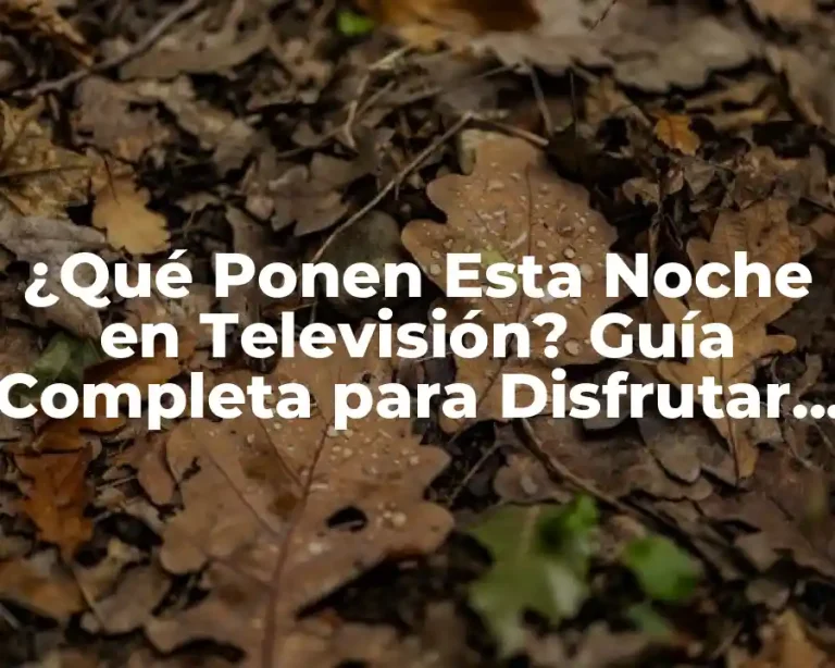 ¿Qué Ponen Esta Noche en Televisión? Guía Completa para Disfrutar de la Programación de TV