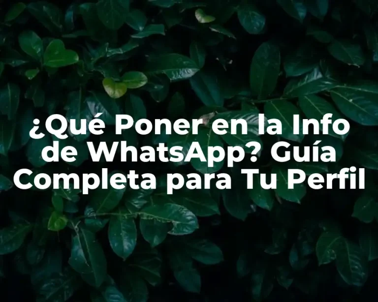 ¿Qué Poner en la Info de WhatsApp? Guía Completa para Tu Perfil