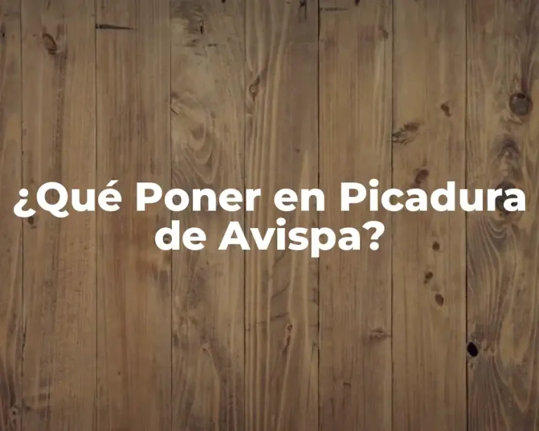 ¿Qué Poner en Picadura de Avispa?
