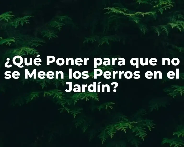 ¿Qué Poner para que no se Meen los Perros en el Jardín?