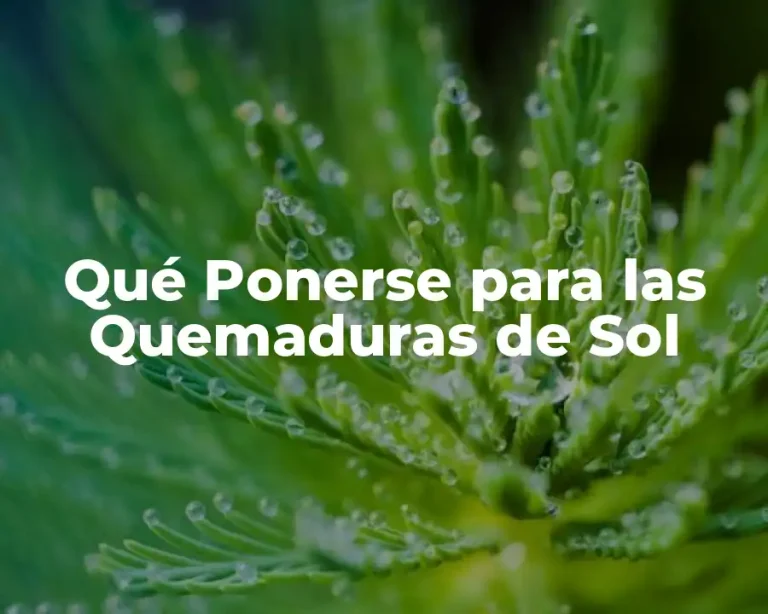 Qué Ponerse para las Quemaduras de Sol
