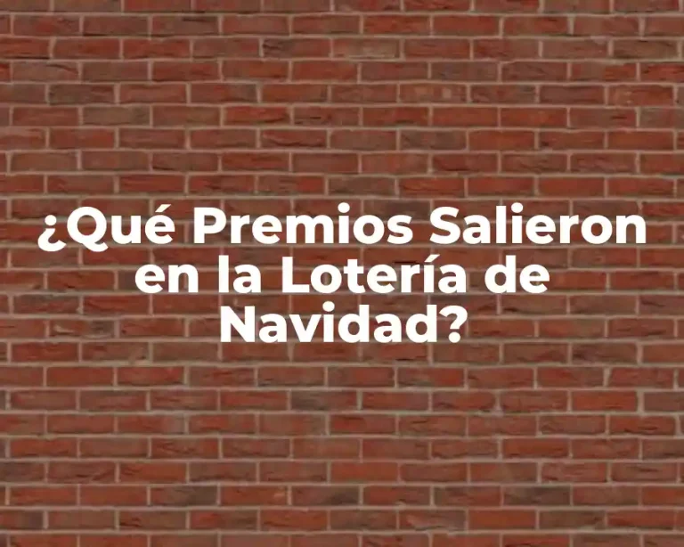 ¿Qué Premios Salieron en la Lotería de Navidad?