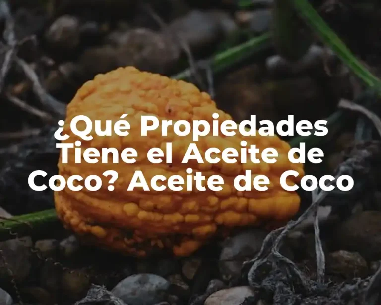 ¿Qué Propiedades Tiene el Aceite de Coco? Aceite de Coco