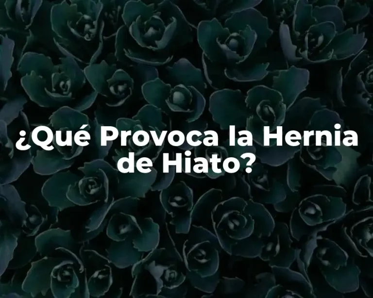 ¿Qué Provoca la Hernia de Hiato?