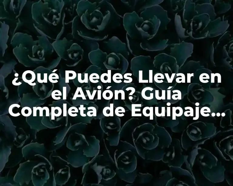 ¿Qué Puedes Llevar en el Avión? Guía Completa de Equipaje de Mano y Facturado