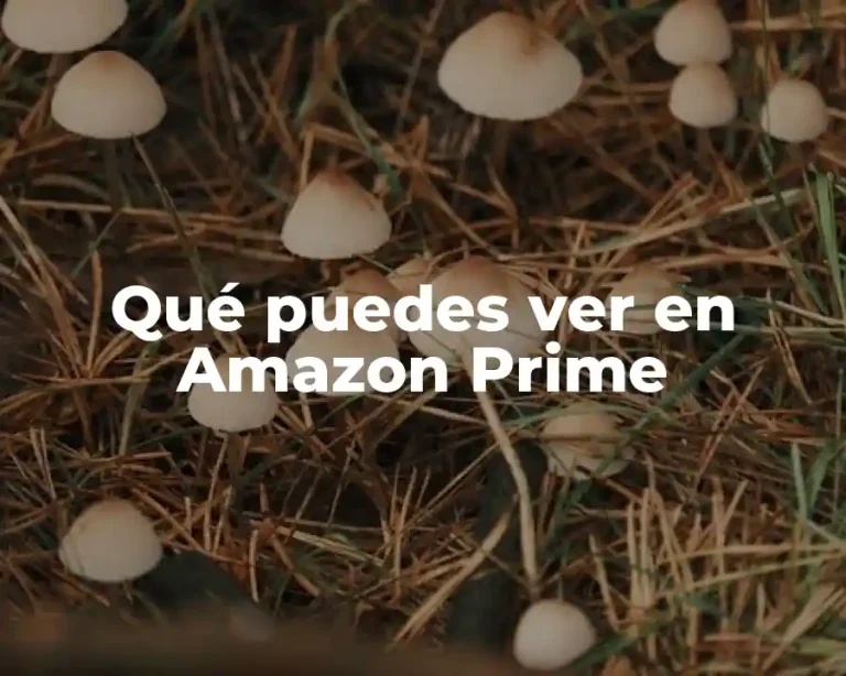 Qué puedes ver en Amazon Prime