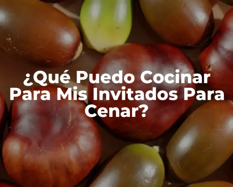 ¿Qué Puedo Cocinar Para Mis Invitados Para Cenar?