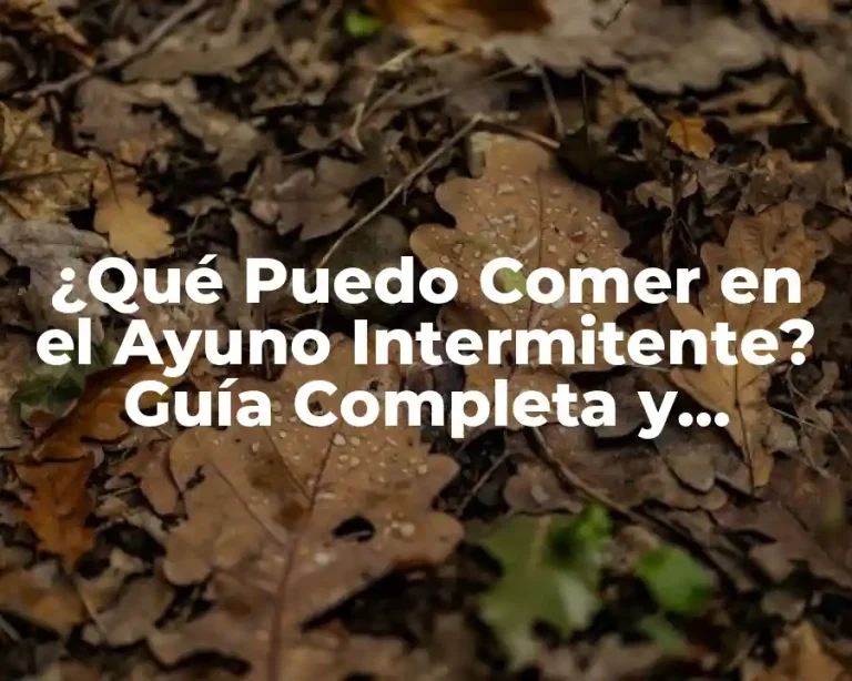 ¿Qué Puedo Comer en el Ayuno Intermitente? Guía Completa y Actualizada
