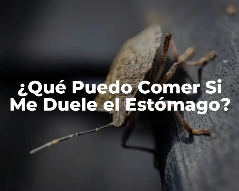 ¿Qué Puedo Comer Si Me Duele el Estómago?