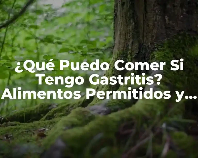¿Qué Puedo Comer Si Tengo Gastritis? Alimentos Permitidos y Prohibidos
