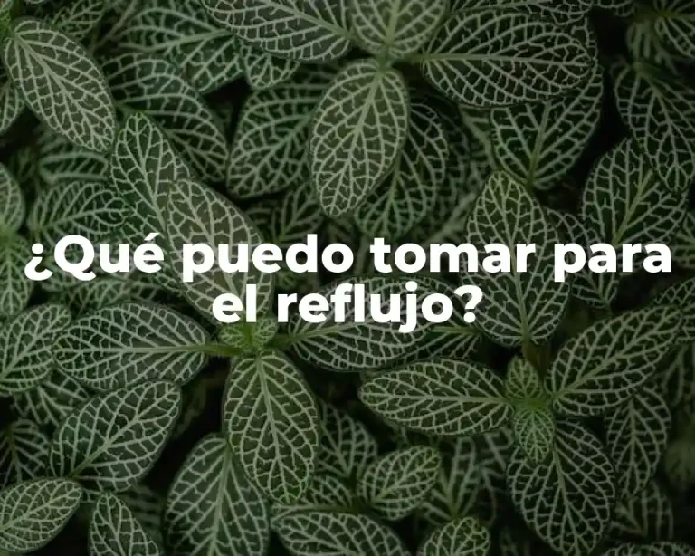 ¿Qué puedo tomar para el reflujo?