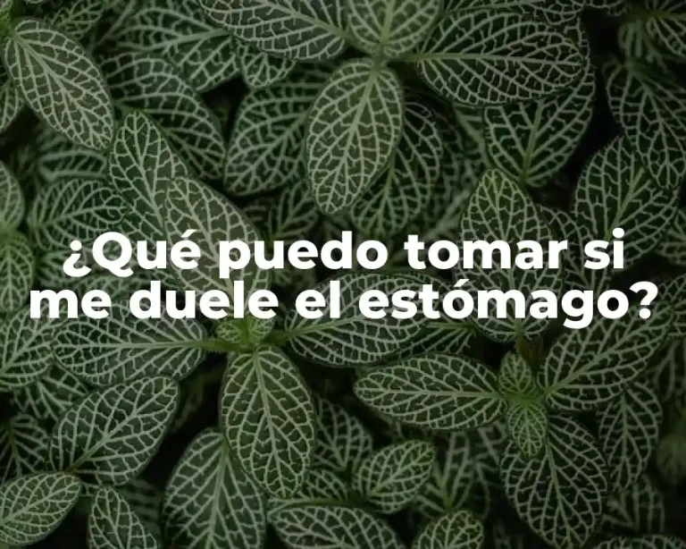 ¿Qué puedo tomar si me duele el estómago?