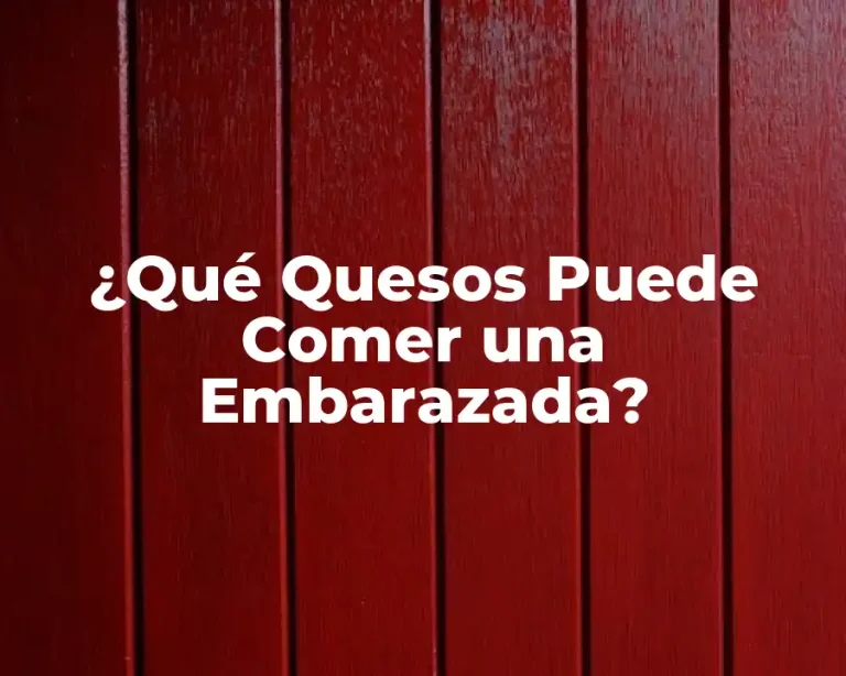 ¿Qué Quesos Puede Comer una Embarazada?