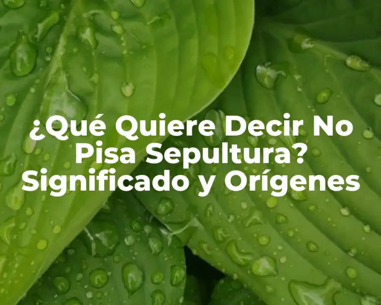 ¿Qué Quiere Decir No Pisa Sepultura? Significado y Orígenes