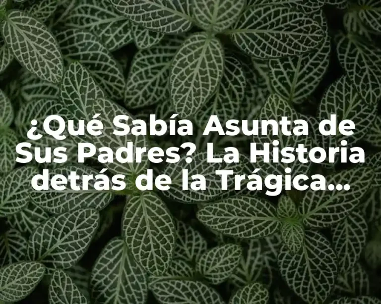 ¿Qué Sabía Asunta de Sus Padres? La Historia detrás de la Trágica Muerte de la Niña Gallega