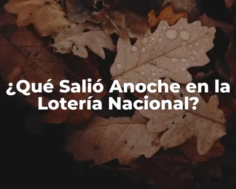 ¿Qué Salió Anoche en la Lotería Nacional?