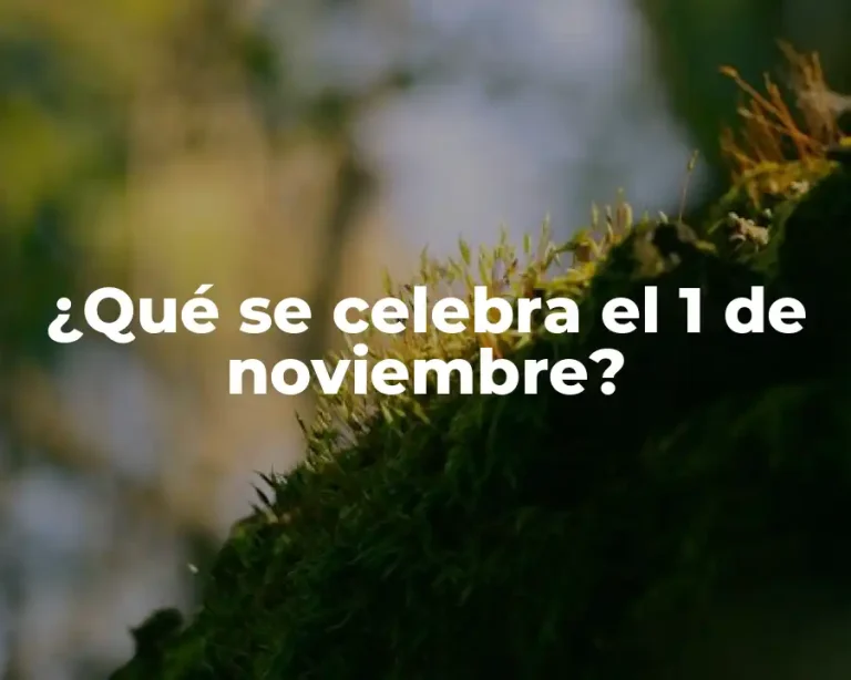 ¿Qué se celebra el 1 de noviembre?