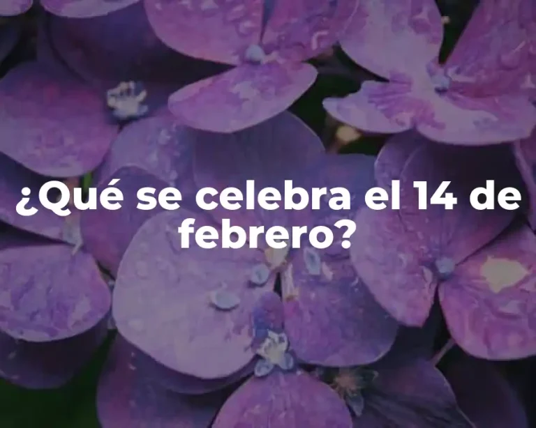 ¿Qué se celebra el 14 de febrero?