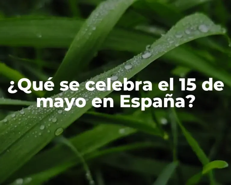 ¿Qué se celebra el 15 de mayo en España?