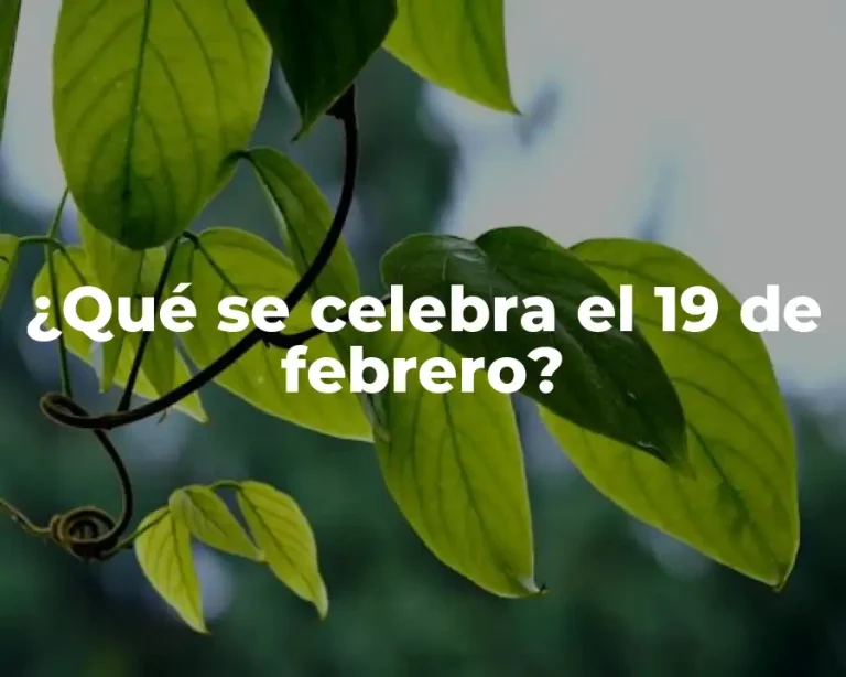 ¿Qué se celebra el 19 de febrero?