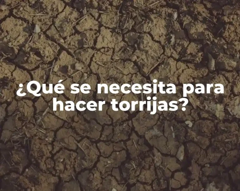 ¿Qué se necesita para hacer torrijas?