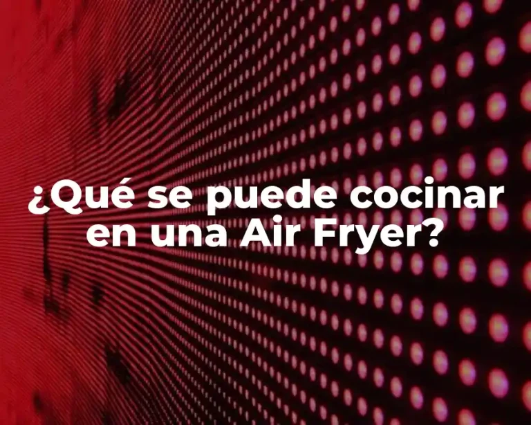¿Qué se puede cocinar en una Air Fryer?