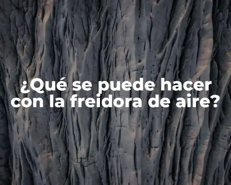 ¿Qué se puede hacer con la freidora de aire?