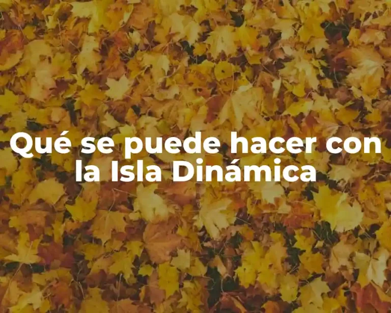 Qué se puede hacer con la Isla Dinámica