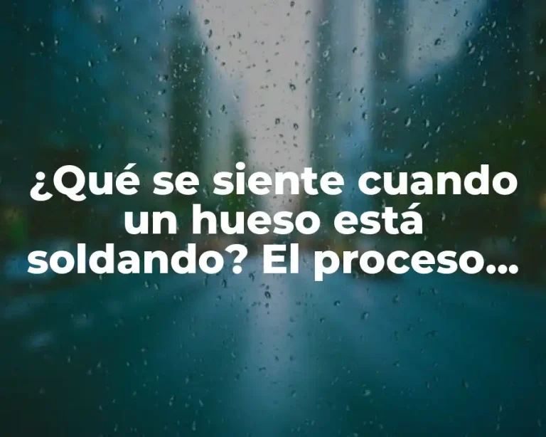 ¿Qué se siente cuando un hueso está soldando? El proceso de consolidación ósea