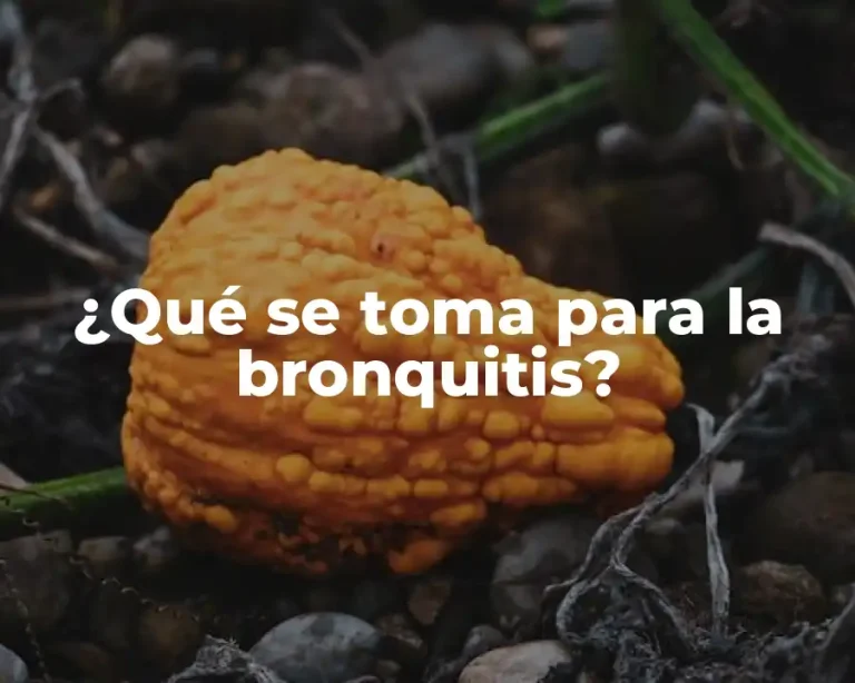¿Qué se toma para la bronquitis?