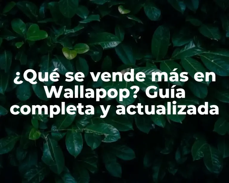 ¿Qué se vende más en Wallapop? Guía completa y actualizada