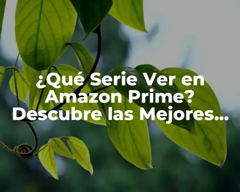 ¿Qué Serie Ver en Amazon Prime? Descubre las Mejores Opciones