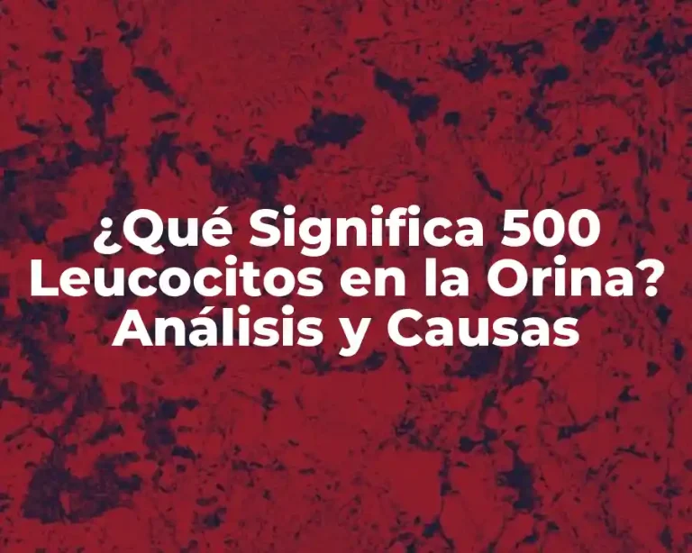¿Qué Significa 500 Leucocitos en la Orina? Análisis y Causas
