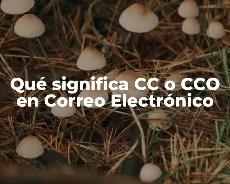 Qué significa CC o CCO en Correo Electrónico