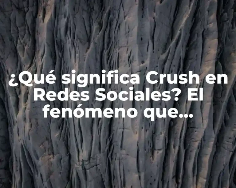 ¿Qué significa Crush en Redes Sociales? El fenómeno que revoluciona las plataformas de internet