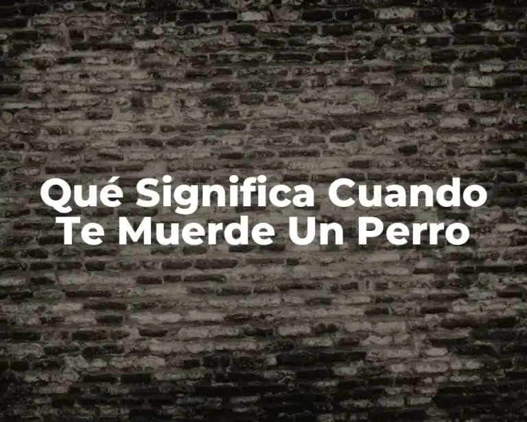 Qué Significa Cuando Te Muerde Un Perro
