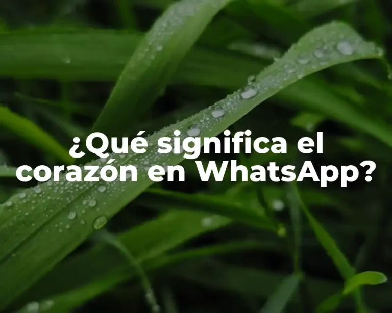 ¿Qué significa el corazón en WhatsApp?
